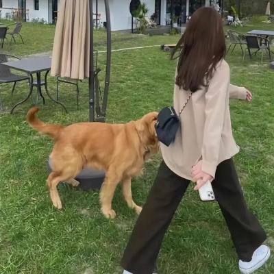 狼人庄园